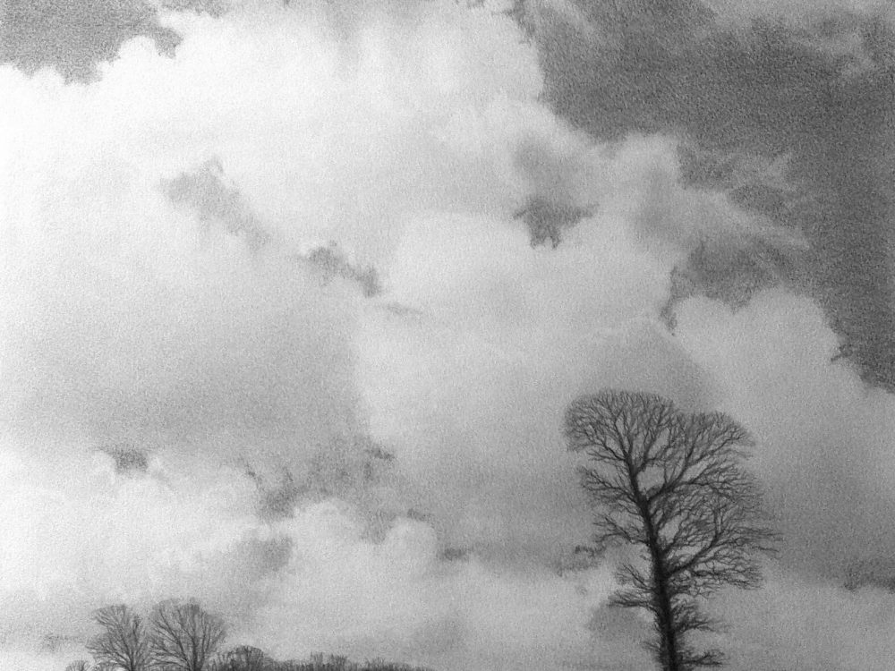 Near North Walsham, Norfolk