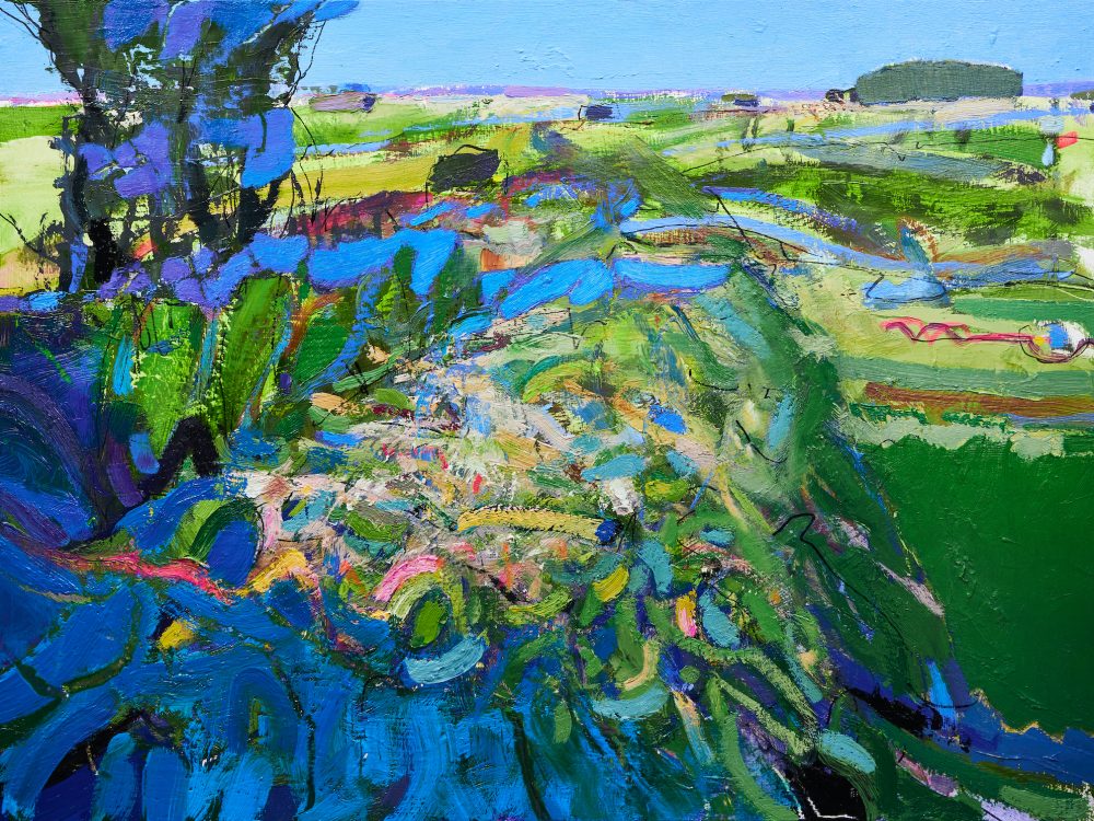 Fyfield Down, Wiltshire