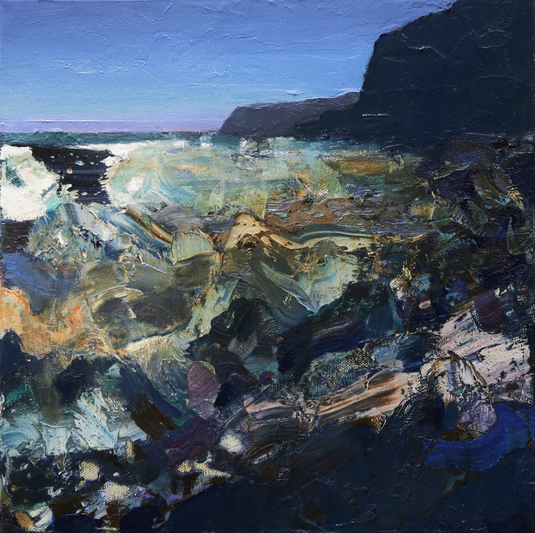 Berwickshire Coast #5_30x30cm